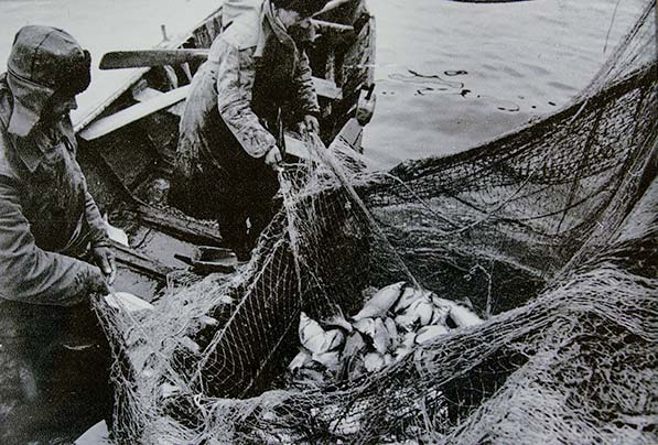 Old photo of Aral Sea fisherman pulling in fish from a boat