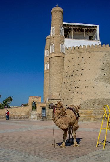 The Ark fortress with one of its locals