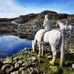 skudeneshavn things to do - visit Haugesund horse sculture
