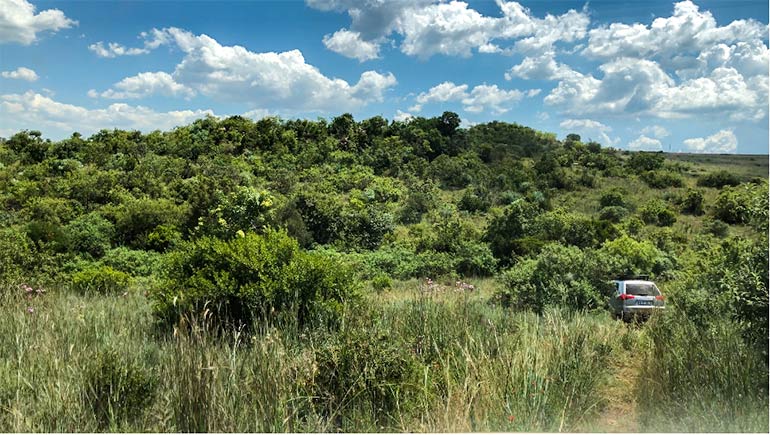 Part of the 4x4 trail we drove on while doing the Protea 4x4 training in preparation for driving in South Africa 