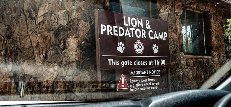 Lion and predator Camp sign