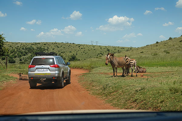 4x4 drive through a game park