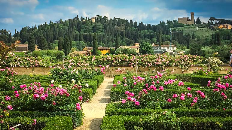 Boboli Gardens, Florence - rose garden 