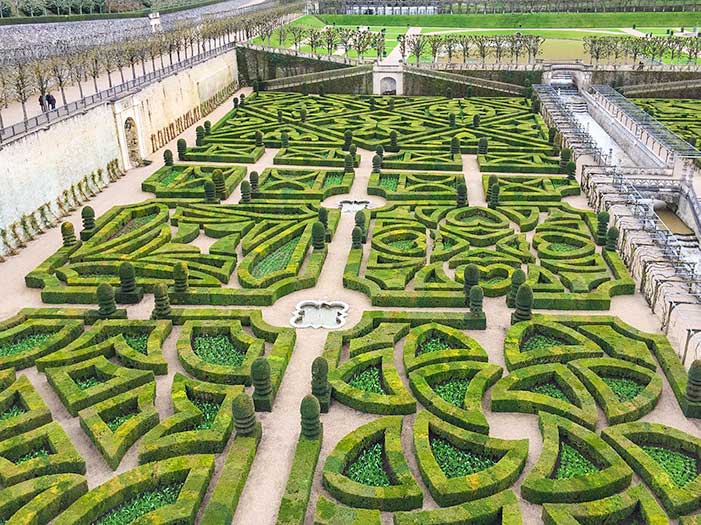 Sculptured garden hedges in patterns