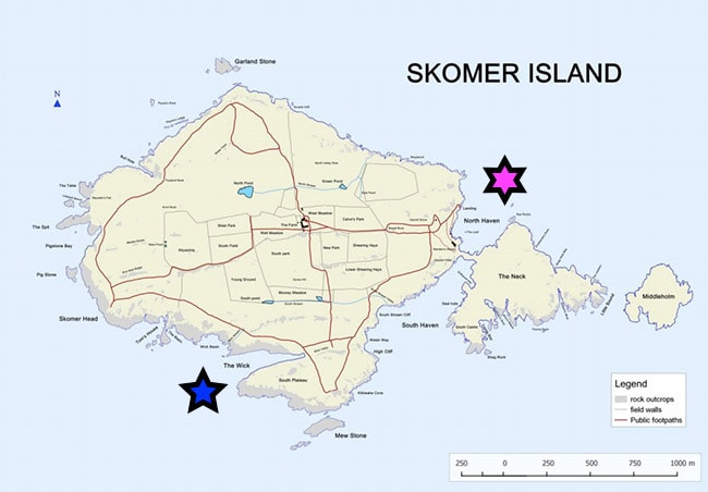 Skomer Island Puffins walking trails