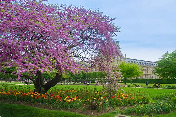 Tuilerie Gardens 2 - Paris 2 day itinerary