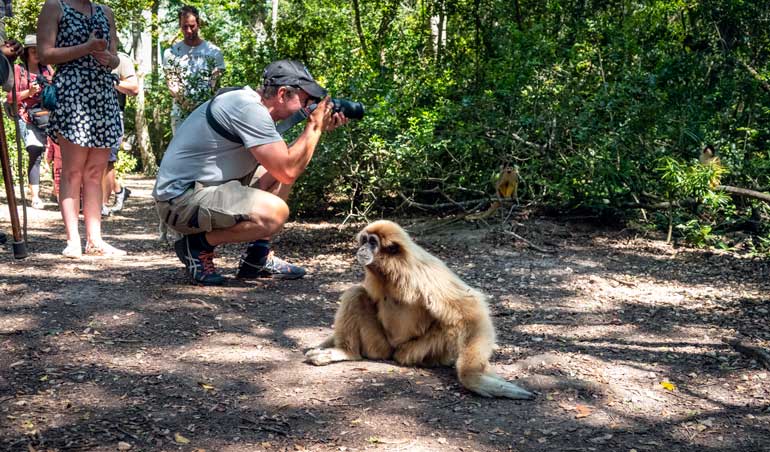 Guided safari at Monkeyland Plettenberg Bay