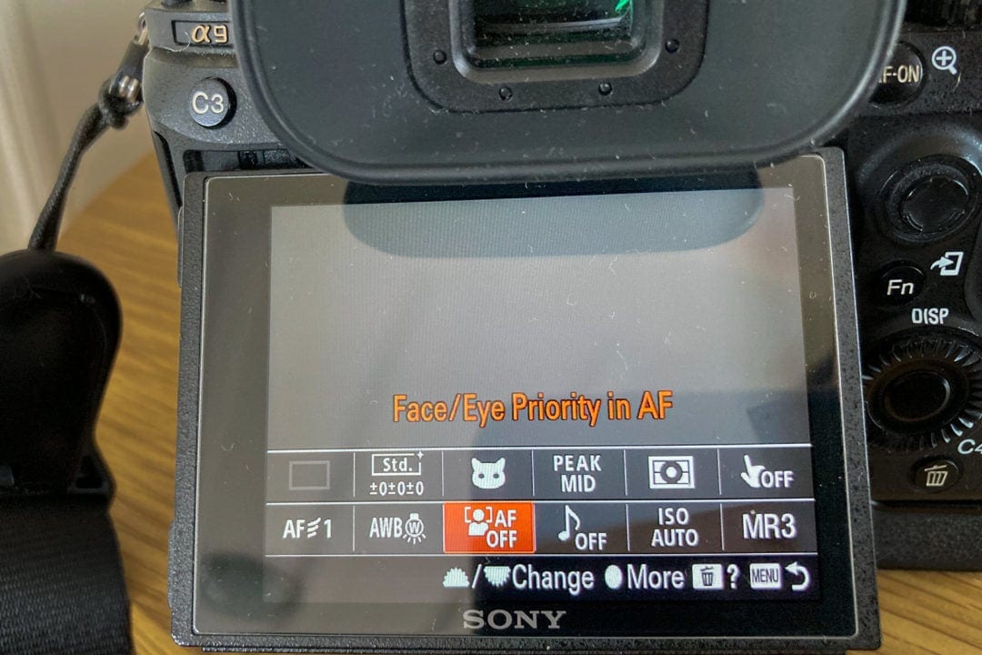 Sony-a7III-camera-menu---African-Wildlife-Photography-4 Rear of a camera showing settings