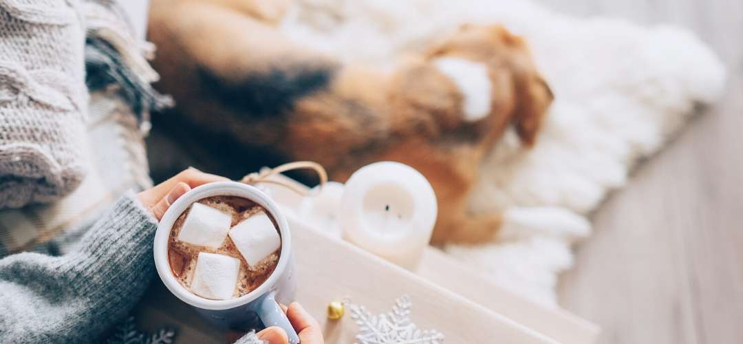 Christmas in July Hot chocolate by dog sleeping