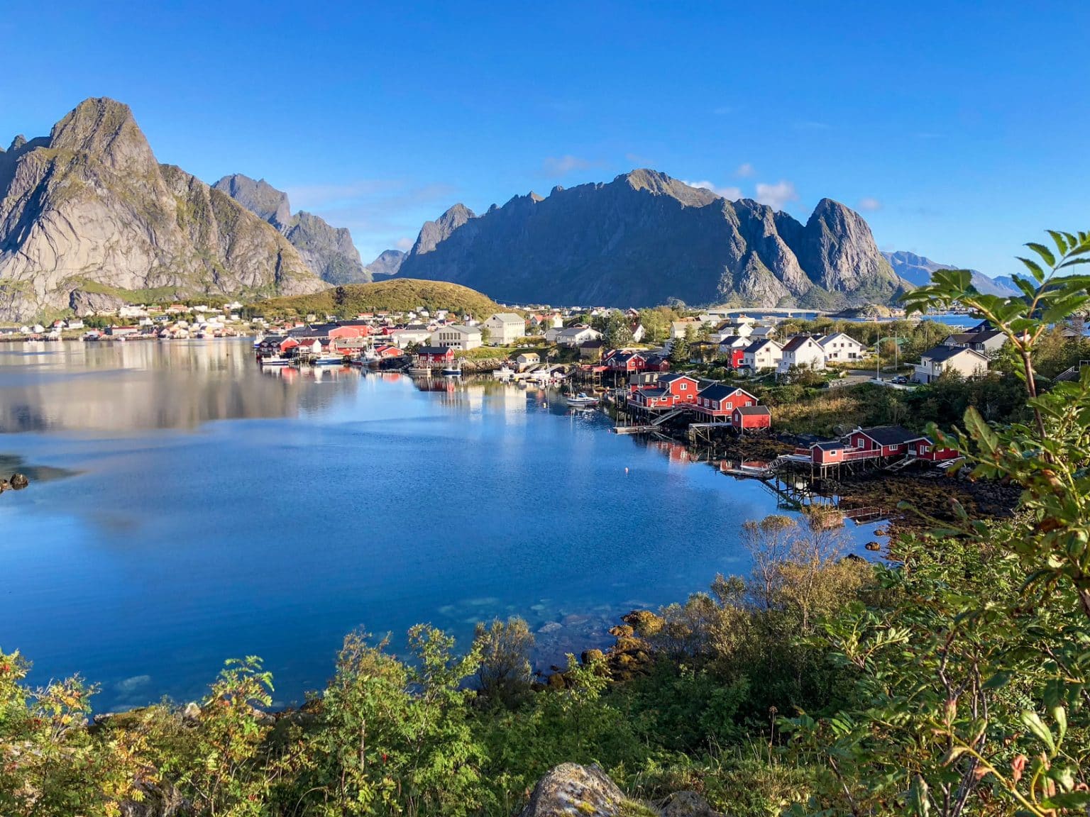 Lofoten Road Trip: The Ultimate 5-Day Itinerary (2024)