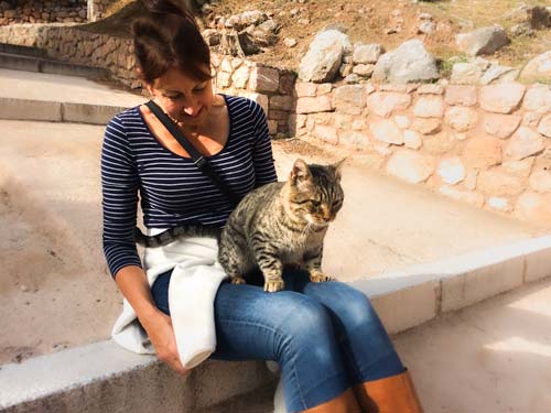 cat-at Delphi ruins Greece