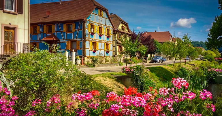 Hirtzbach houses with a foreview of pink flowers 