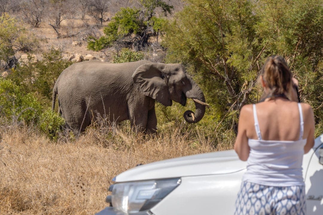 lady behind a car photographing an elephant