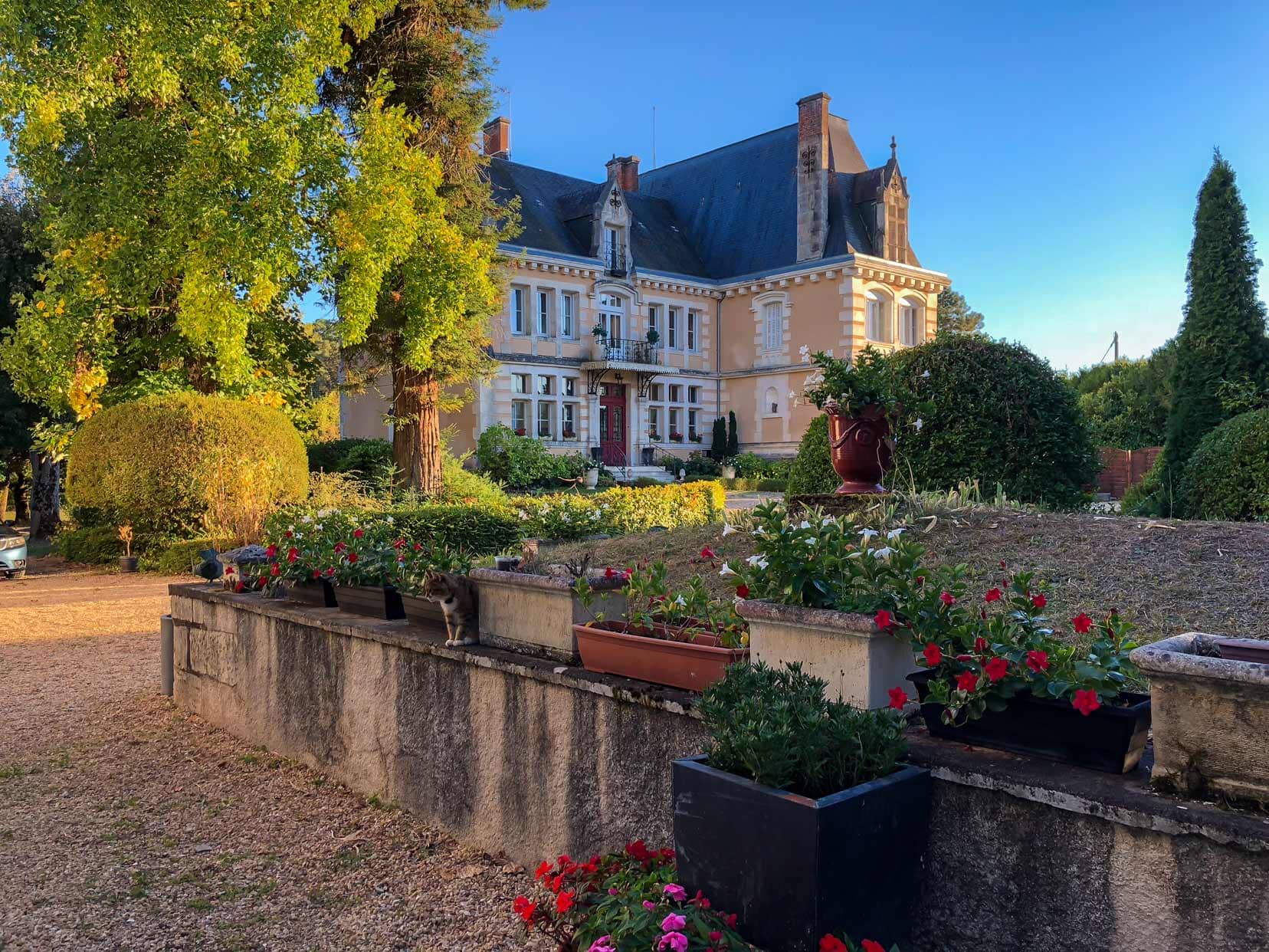 chateau-in-full-light with flowering planters dotted around the garden and a cat sat by one