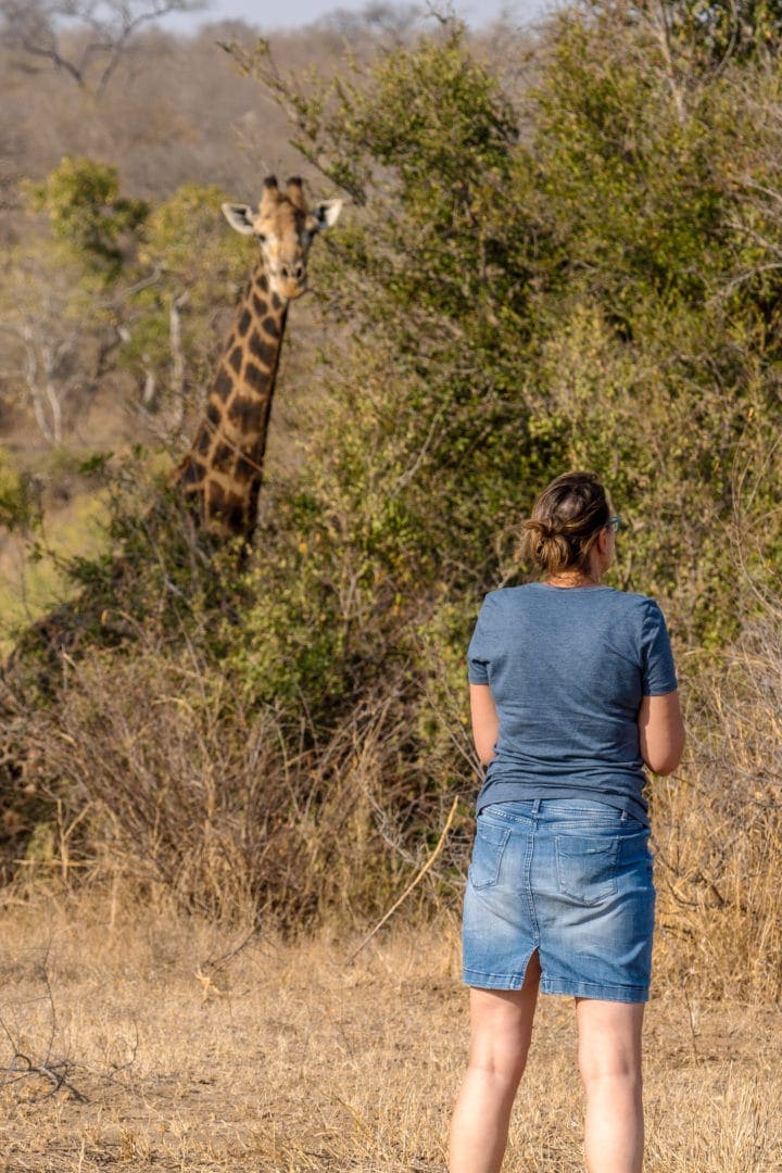 lady looking at a giraffe