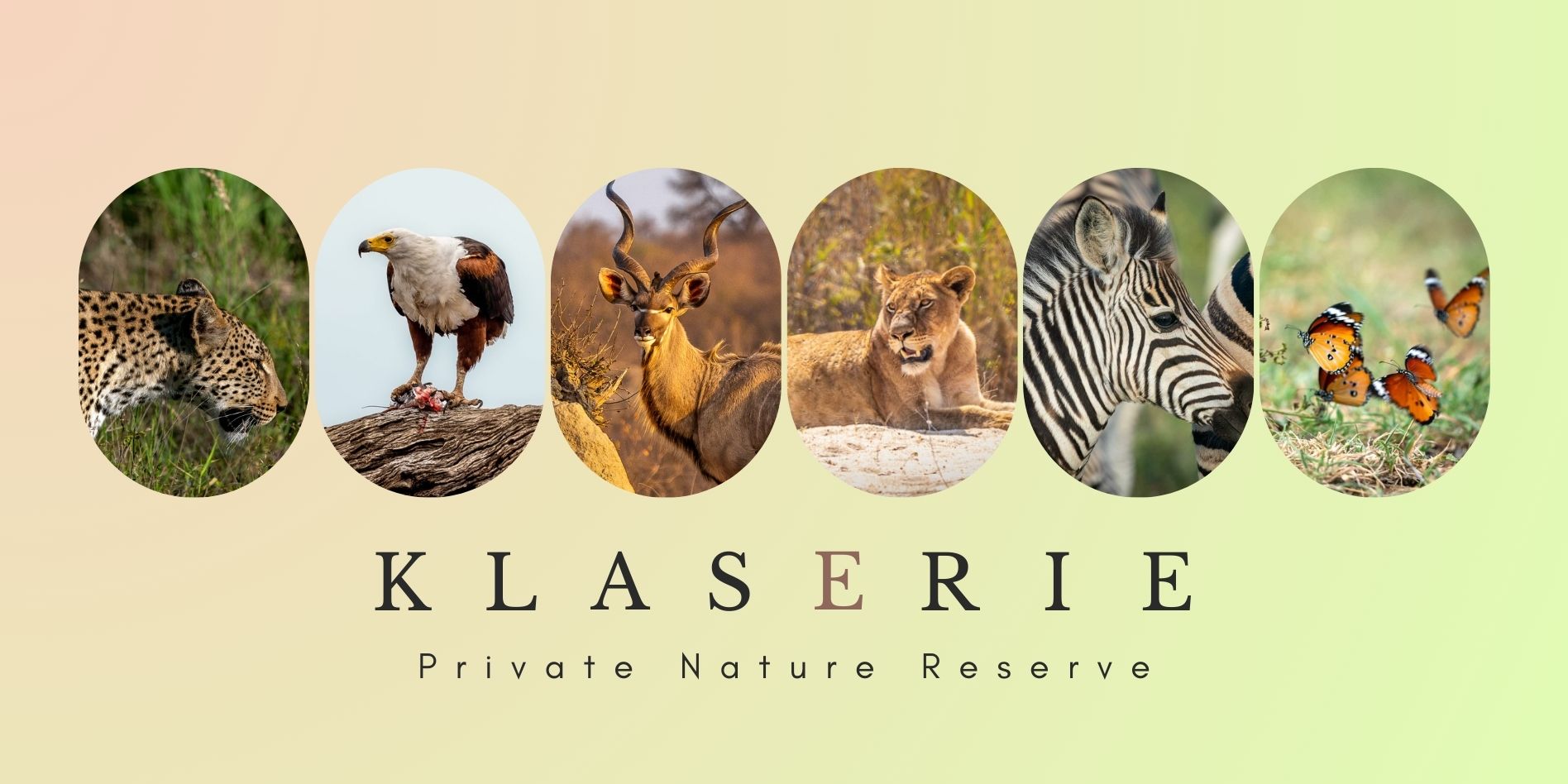 Klaserie Private Nature Reserve header with pics of various animals in oval shapes