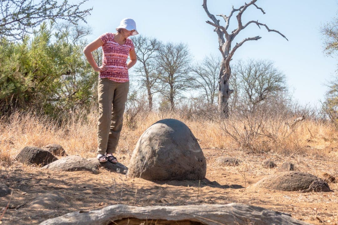 shelley stood by a round-animal-rubbing-stone