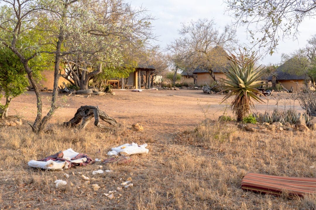 torn-cushions-on-grass-outside-a-bush-camp