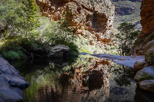 Meiringspoort tree and rock reflections in the waterfall pools