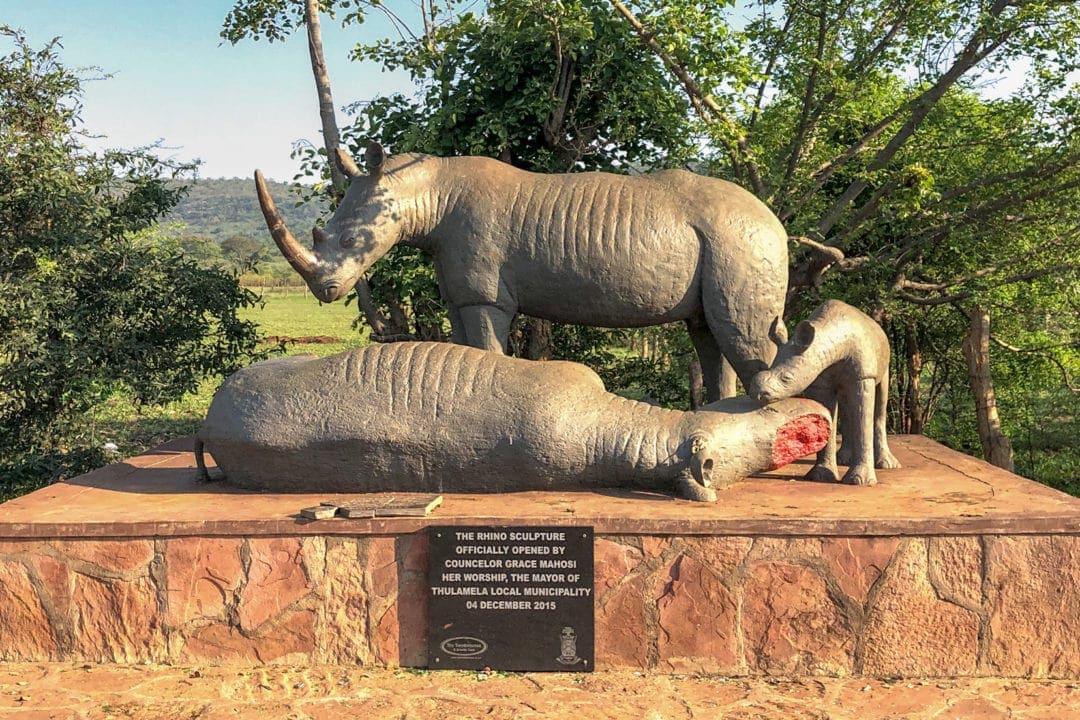 Rhino-statue-at-kruger-gate_