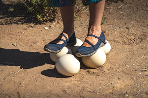 Standing-on-ostrich-eggs-in-Oudtshoorn