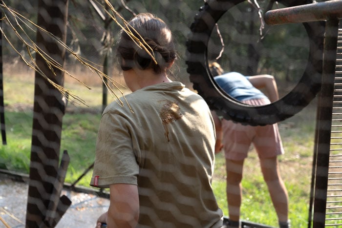 tshirt with monkey poop on and shelley sweeping leaves and poop up in a monkey cage 