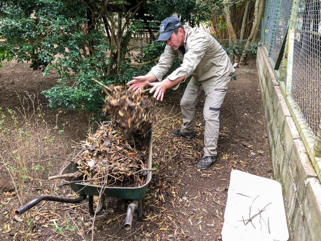 Picking-up-leaves-in-the-animal-enclosure