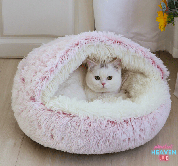 Campervan gifts cat in cosy pink cat bed