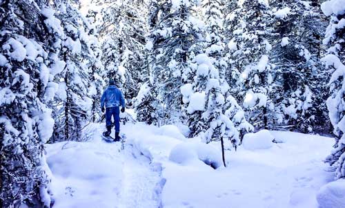 Snowshoeing-in-Banff