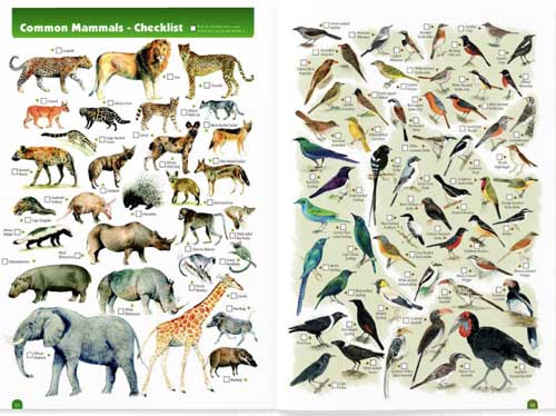 Kruger animal checklist