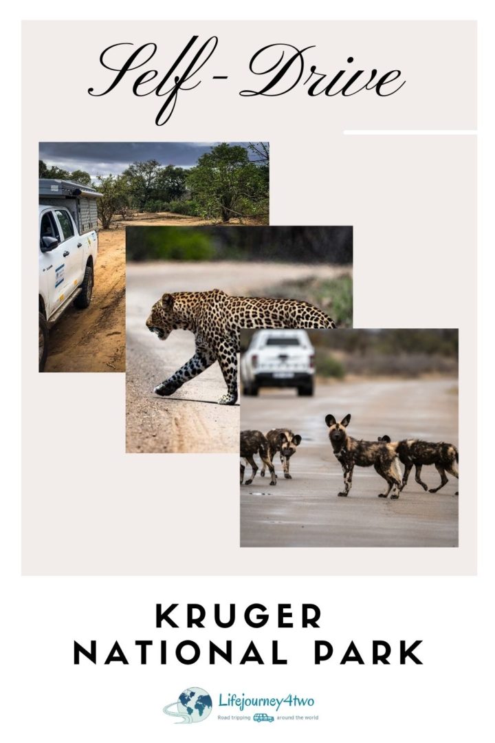 Kruger self drive pinterest pin