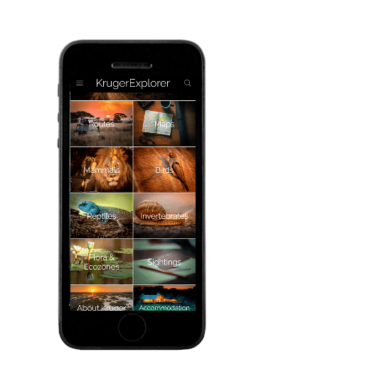 Kruger Explorer app photo
