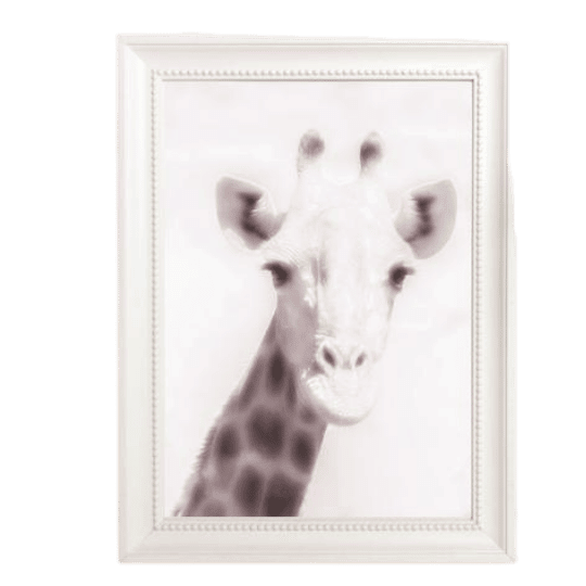 pink giraffe in frame