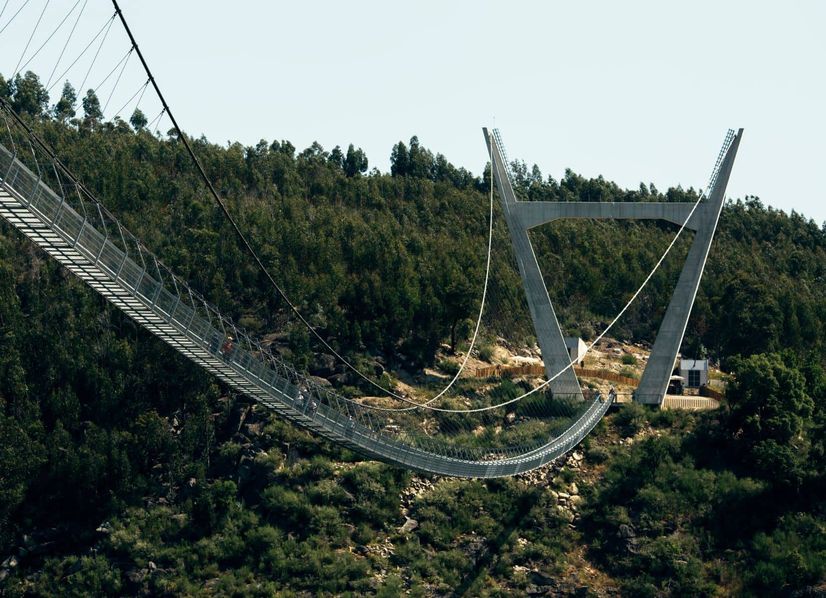 Arouca suspension bridge in a tree covered canyon