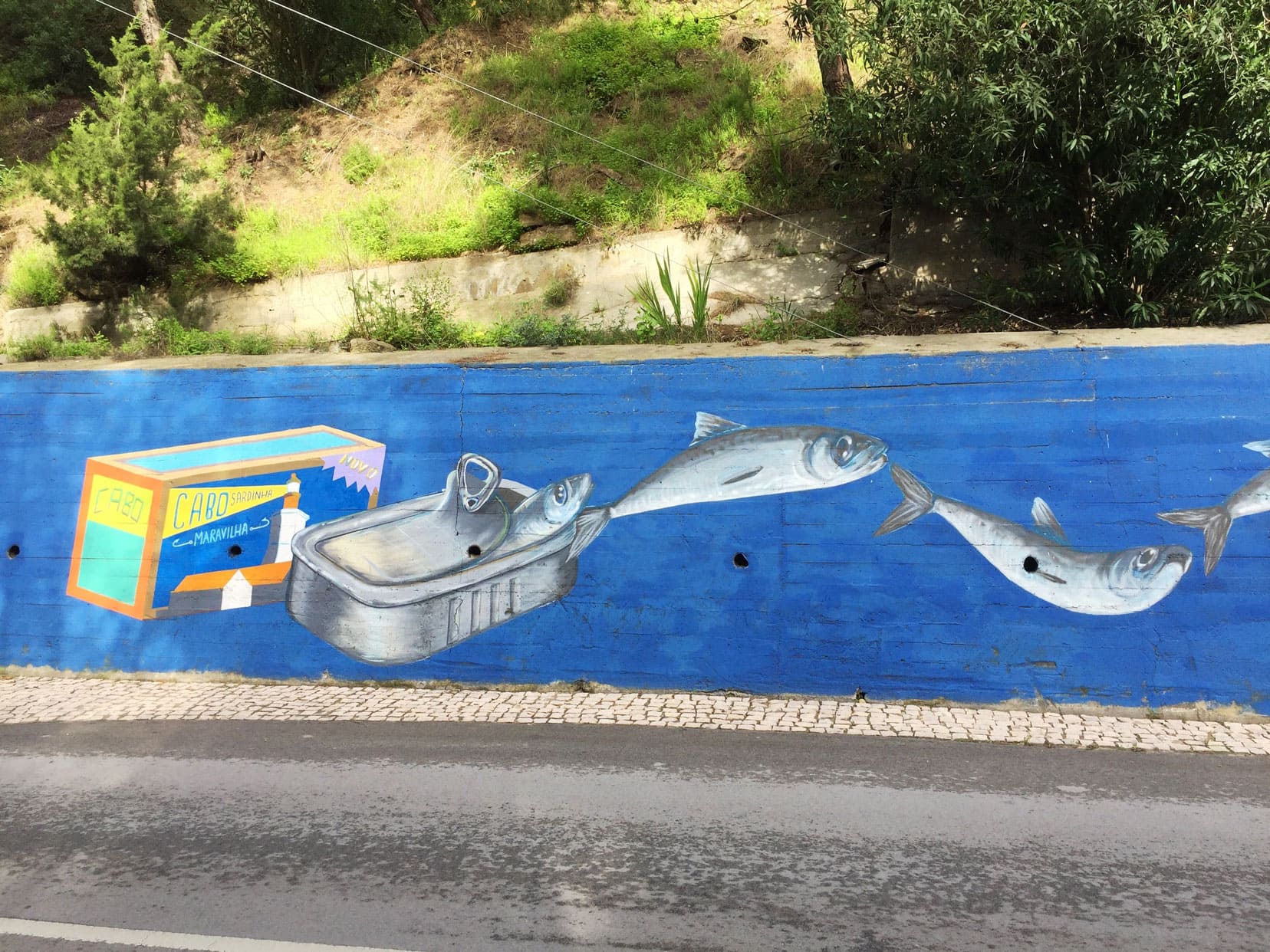 SEsimbra-sardine-street-art