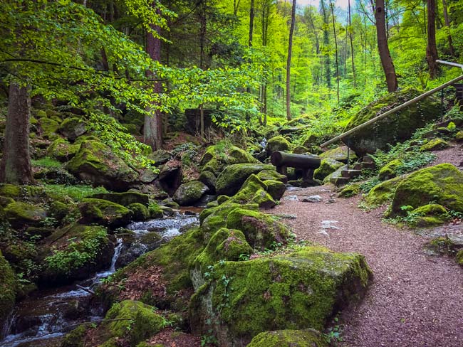 Sasbachwalden Black forest