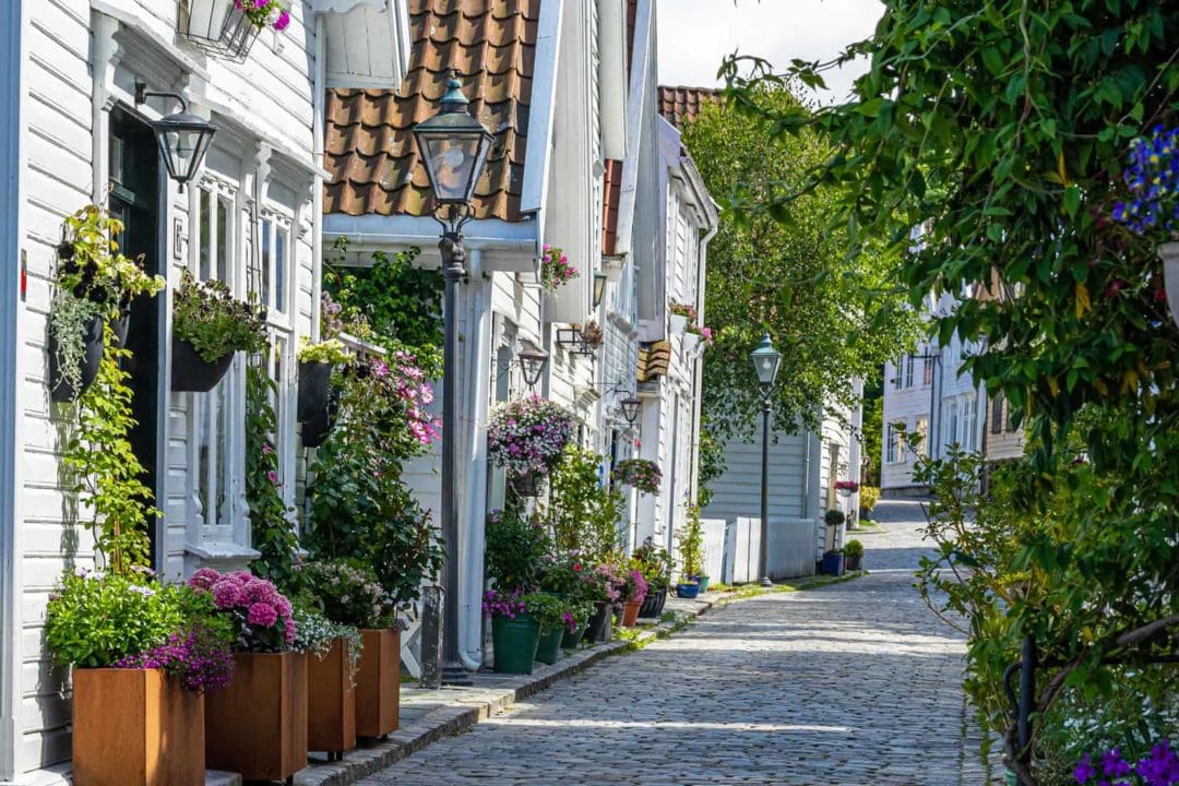 white timber houses with flowers growing in pots and hanging baskets 