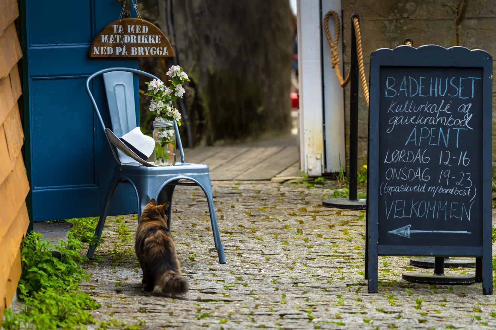 Badehuset entrance with a blue chair holding open the dooor and a cat walking in front