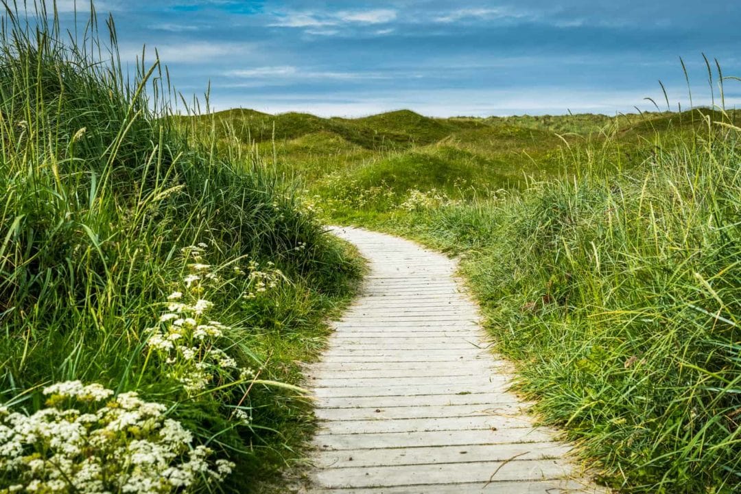 wooden sandy path between grassy banks at Orrestranden