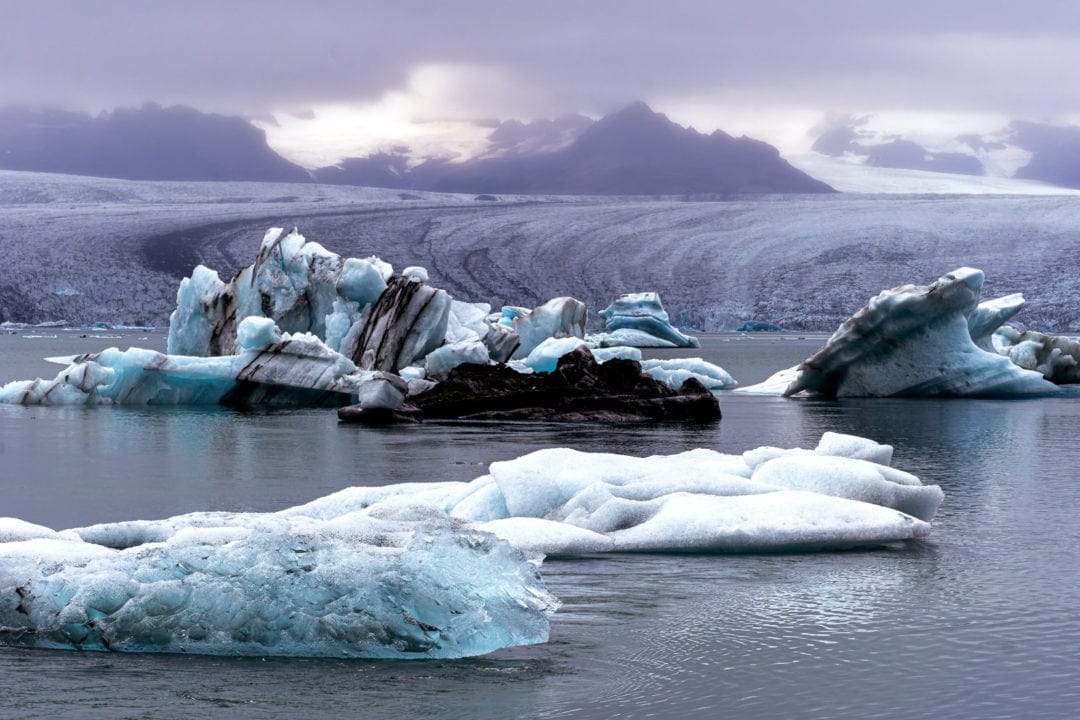 Iceland-Jokusarlon-Glacier floating icebergs on a lake
