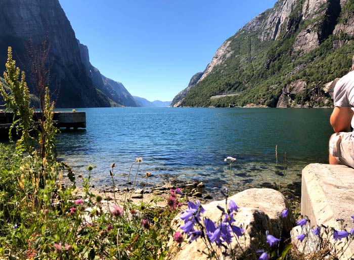 view of Lrsefjord with steep mountains on either side and a few purple and pink wildflowers in the foreground