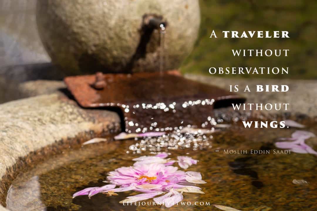 Road trip travel quote on a stone fountain with rose petals floating in the water