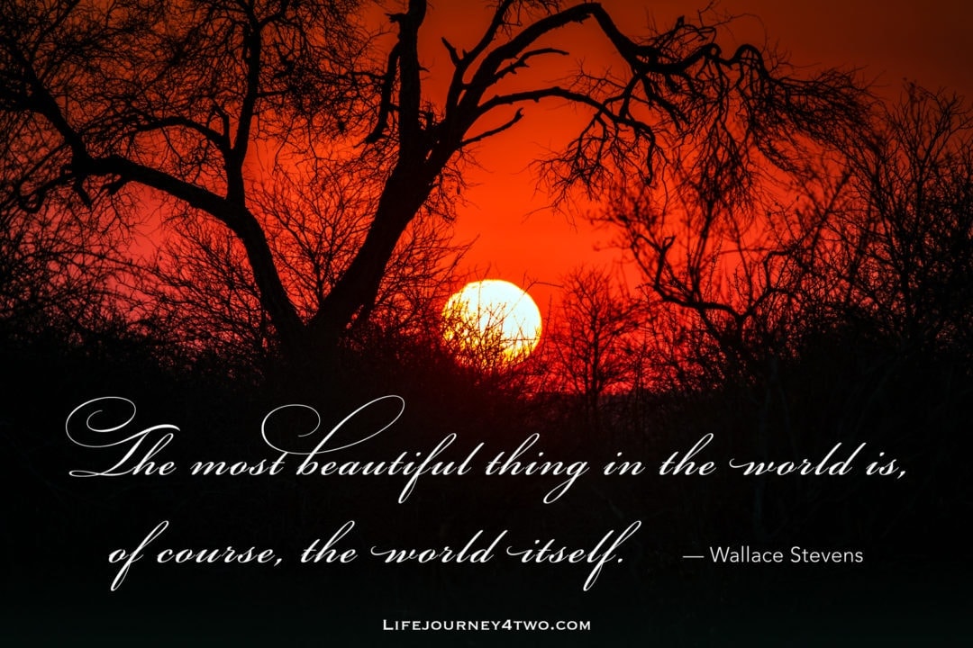Beautiful world quote on African sunset
