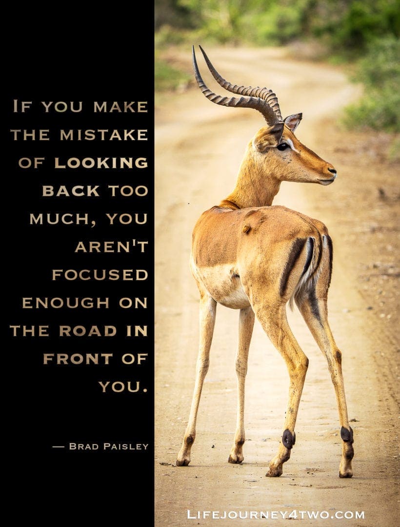 Quote on photo of impala looking back