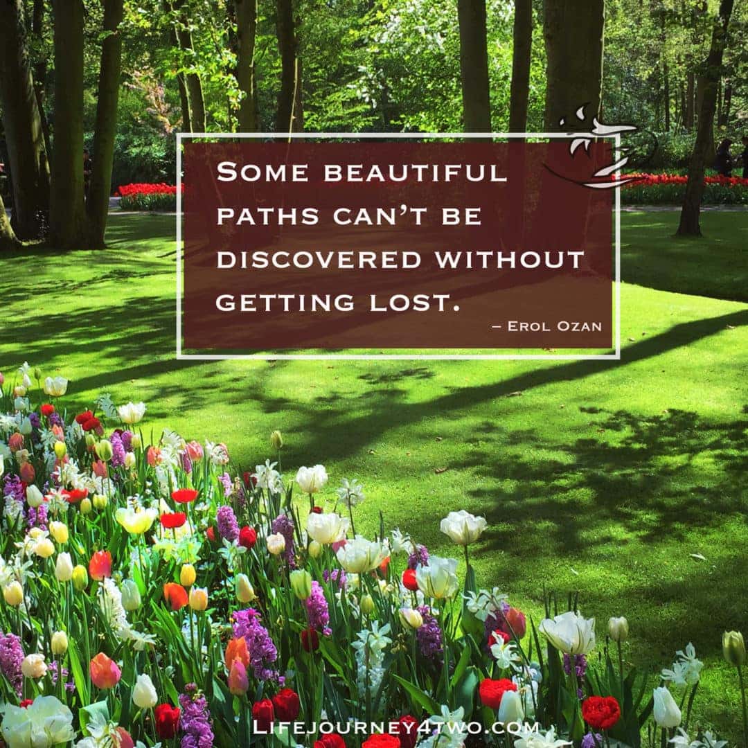 coloured Tulips on a grass path with quote