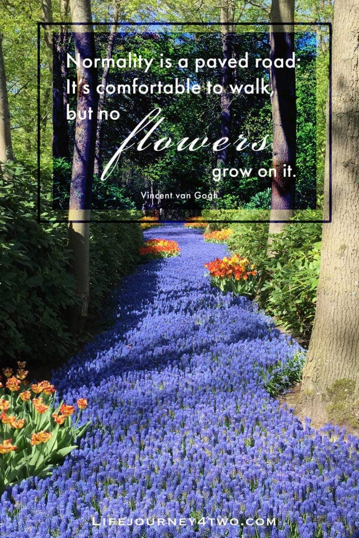 Travel quote on flower path of bluebells