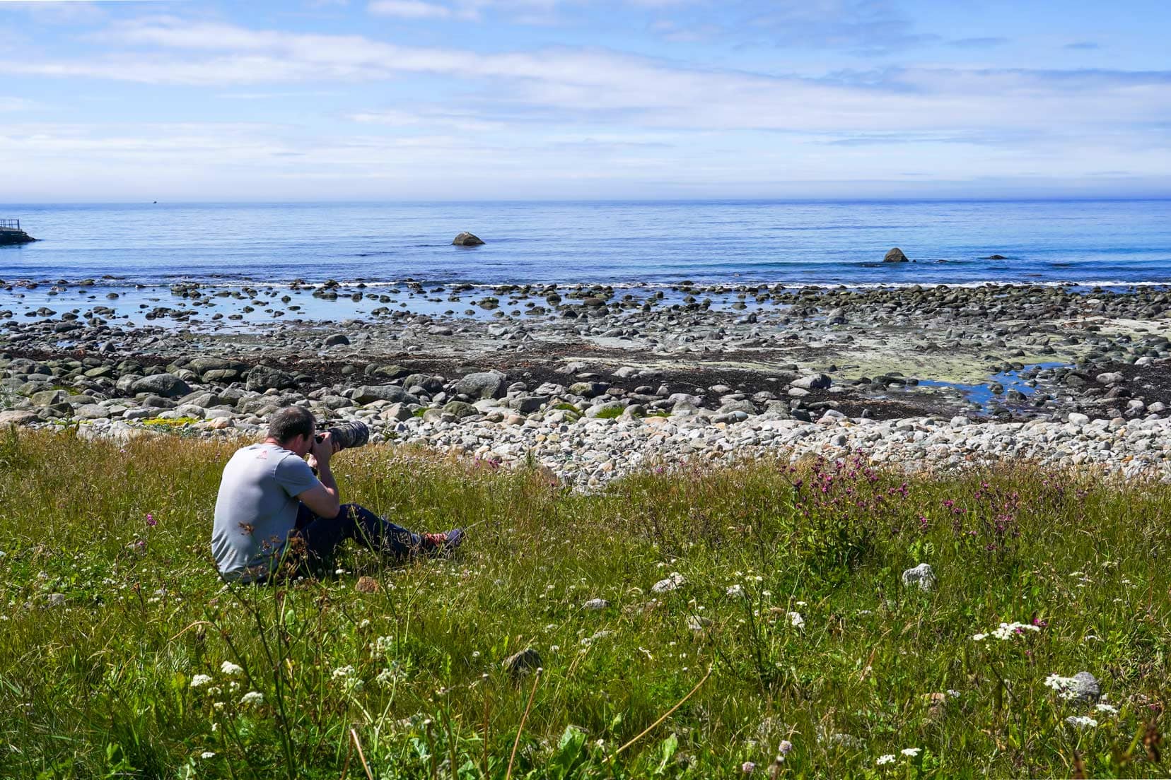 Lars sat taking photos on the shore surrounded by wildflowers and then a pebbly beach and ocean