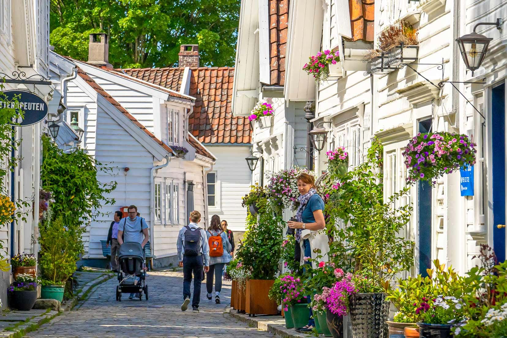Shelley in Gamle Stavanger - white timber houses with greenery and flowers outsideand a few people walking through the narrow cobbled street