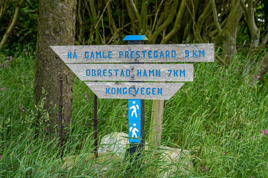 sign for kongevegen