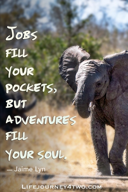 Jobs fill your pockets but adventures fill your soul quote with baby elephant pic 